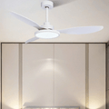 52" Fashion Ceiling Fan With Lamp, Plastic Blades and Remote Control