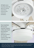 36" Led Ceiling Fan with Lamp, Plywood Blades and Remote Control