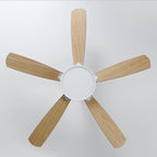 52" Indoor Led Ceiling Fan with Lamp and Remote Control