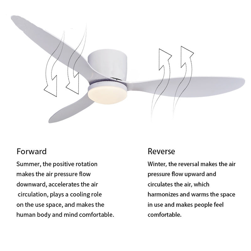 42" LED Ceiling Fan with Lamp and Remote Control