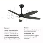36" Ceiling Fan with Light, Plywood Blades and Remote Control