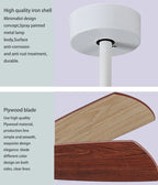 52" Indoor Led Ceiling Fan with Lamp and Remote Control