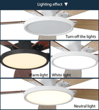 52" Indoor Led Ceiling Fan with Lamp and Remote Control