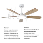 52" Indoor Led Ceiling Fan with Lamp and Remote Control