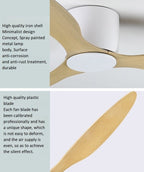 42" LED Ceiling Fan with Lamp and Remote Control