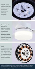 52" Fashion Ceiling Fan With Lamp, Plastic Blades and Remote Control