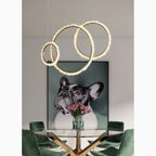 Aarau | Crystal Pendant Light in the Shape of Rings