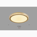 Abriola | Round Crystal LED Ceiling Light