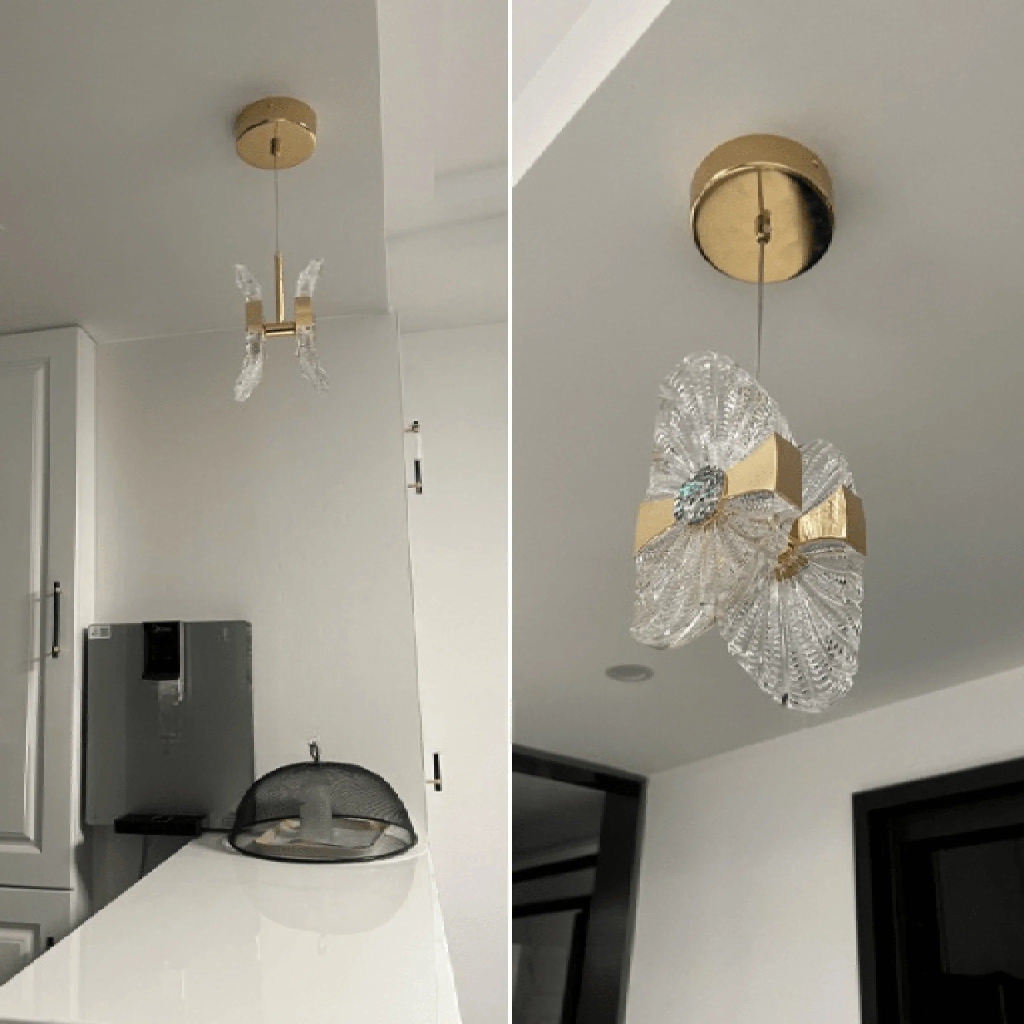Baiardo | Modern Chandelier in the Shape of Lotus Leaf