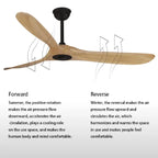 Decorative Led Light Black Ceiling Fan With Remote Control | 42"