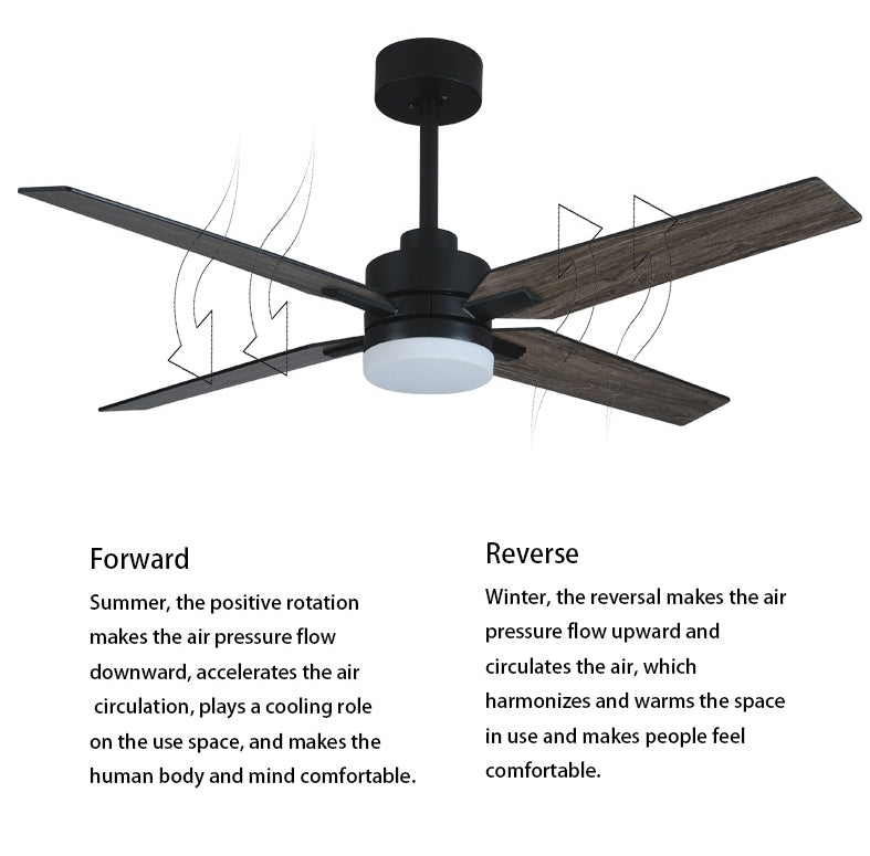 52" Ceiling Fan Lamp with Plywood Blade